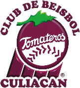 Esta propuesta de TICKETBLOCK está avalada por una dilatada experiencia en este ámbito. Actualmente, la Compañía se encarga del mantenimiento de estadios.